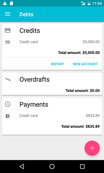 Image 6 for ViZi Budget