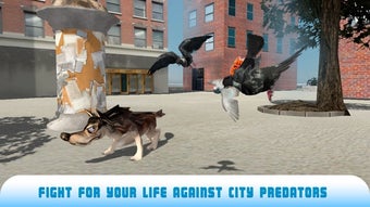 Image 3 for Pigeon Bird Survival Simu…