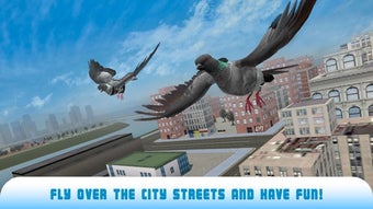 Image 2 for Pigeon Bird Survival Simu…