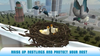 Image 0 for Pigeon Bird Survival Simu…