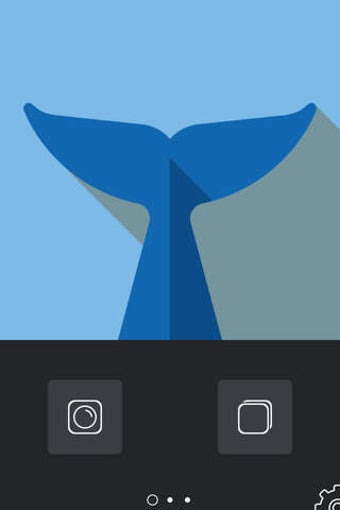 Image 0 for Flipper - Mirror Image Re…