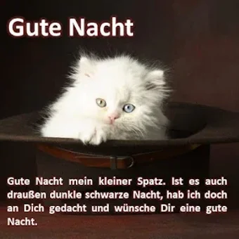 Image 0 for Good Night Sayings in Ger…