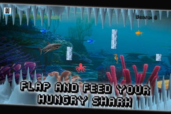 Image 0 for Splashy Shark Fish - The …