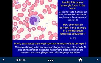 Image 1 for Histology Lite - SecondLo…