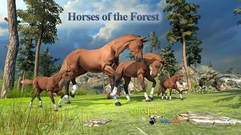Image 0 for Horses of the Forest