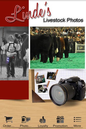 Image 0 for Linde's Livestock Photogr…