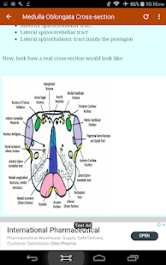 Image 3 for Neurology & Neuroanatomy …