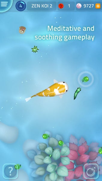 Image 0 for Zen Koi 2