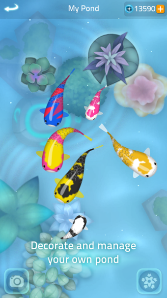 Image 1 for Zen Koi 2