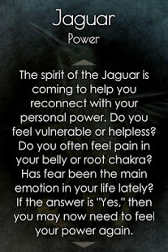 Imagen 3 para Spirit Animal Oracle Card…