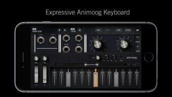 Image 2 for Model 15
