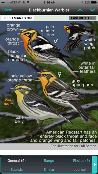 Imagen 0 para iBird Ultimate Guide to B…