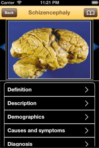 Image 3 for Dictionary of Neurologica…