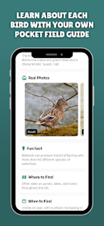 Image 0 for Birdex