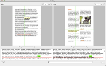 Imagen 0 para PDiff