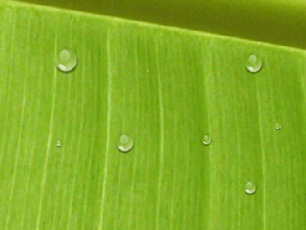 Image 0 for Animated Water Drop Deskt…