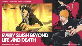 Image 0 for Bleach: Soul Resonance