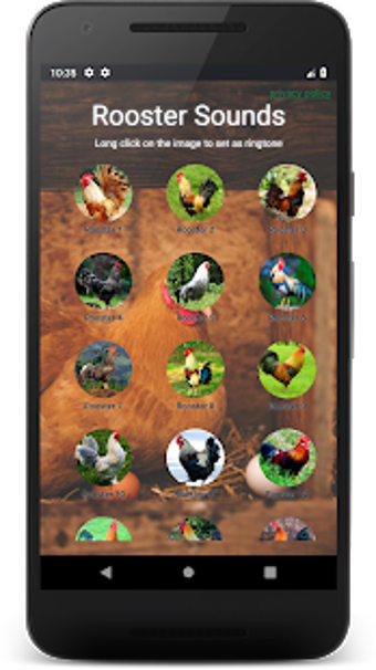 Image 0 for Rooster Sounds - Morning …