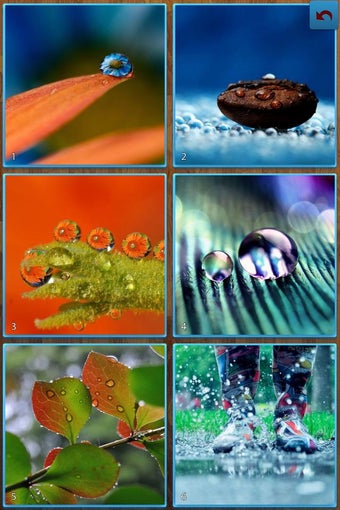 Image 0 for Drops Jigsaw Puzzles
