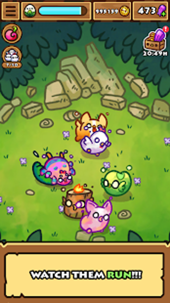Image 0 for Chichens