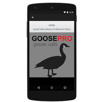 Image 0 for Goose Calls for Goose Hun…