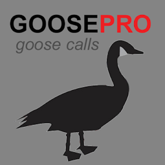 Image 1 for Goose Calls for Goose Hun…
