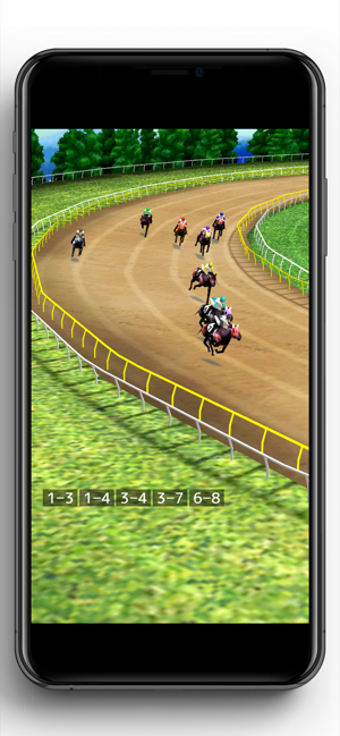 Image 3 for Simple Horse Racing