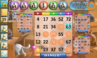 Imagen 3 para Bingo Cats