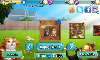 Imagen 0 para Bingo Cats
