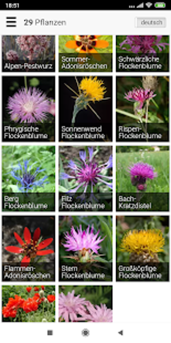Image 2 for Krautfinder - einfache Pf…