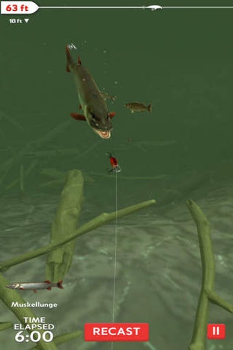 Image 0 for Rapala Fishing - Daily Ca…