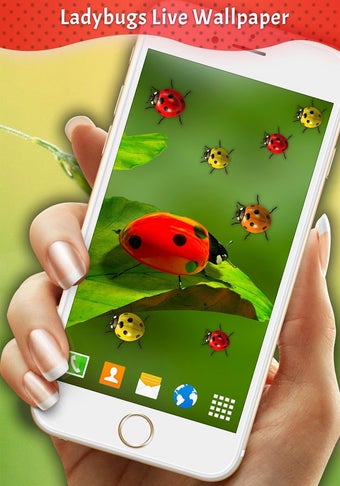 Imagen 3 para Ladybugs Live Wallpaper