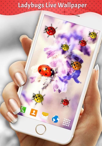 Imagen 1 para Ladybugs Live Wallpaper