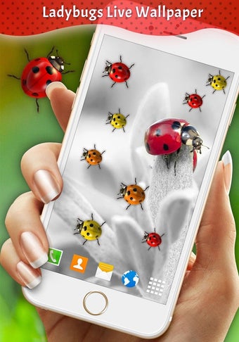 Imagen 2 para Ladybugs Live Wallpaper