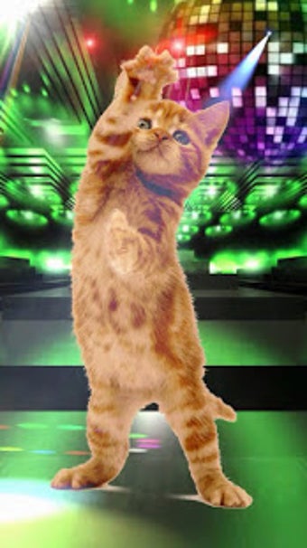 Image 0 for Dancing and Singing Funny…