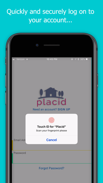 Image 2 for Placid Money Transfer