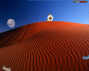 Imagen 5 para 3D Desktop Bunny Rabbits …