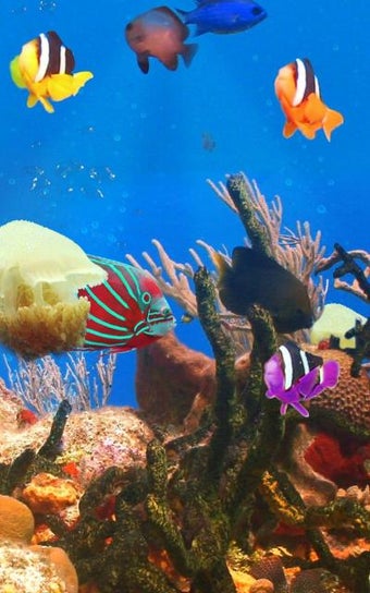 Image 1 for Aquarium and fishes
