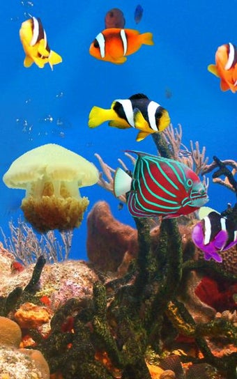 Image 1 for Aquarium and fishes
