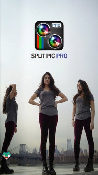 Image 1 for Split Pic Pro