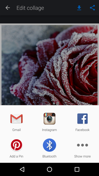 Image 21 for Photo Collada collage mak…