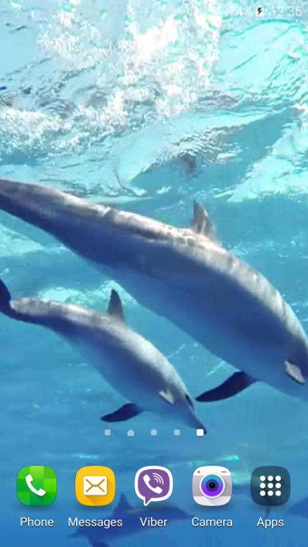 Imagen 3 para Dolphins +Sound Live Wall…