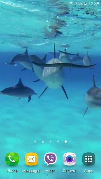 Imagen 0 para Dolphins +Sound Live Wall…