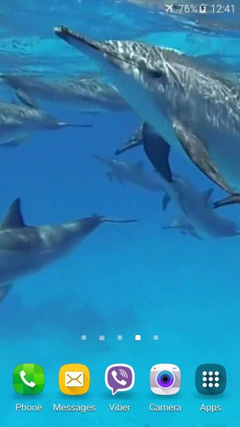 Imagen 2 para Dolphins +Sound Live Wall…