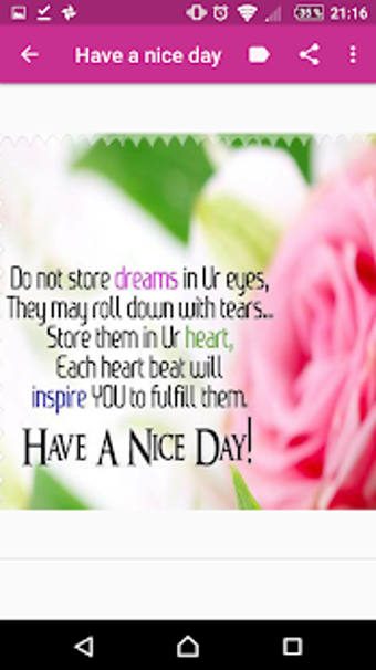 Image 3 for Have a Nice Day