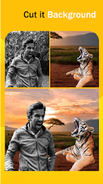 Imagen 1 para Background changer - Back…