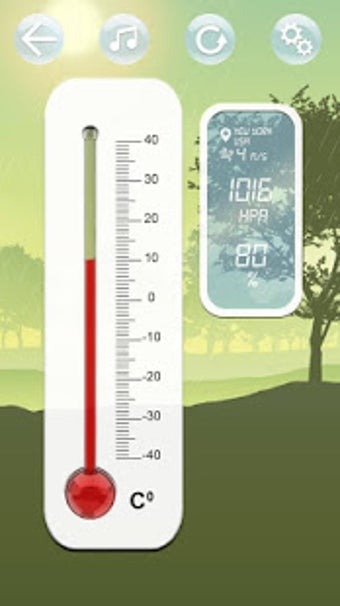 Image 1 for Real Thermometer