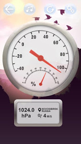 Image 0 for Real Thermometer