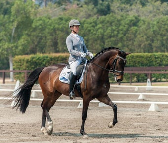 Image 0 for Equestrian Dressage