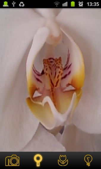 Image 0 for Magnifier Free 3D Lens